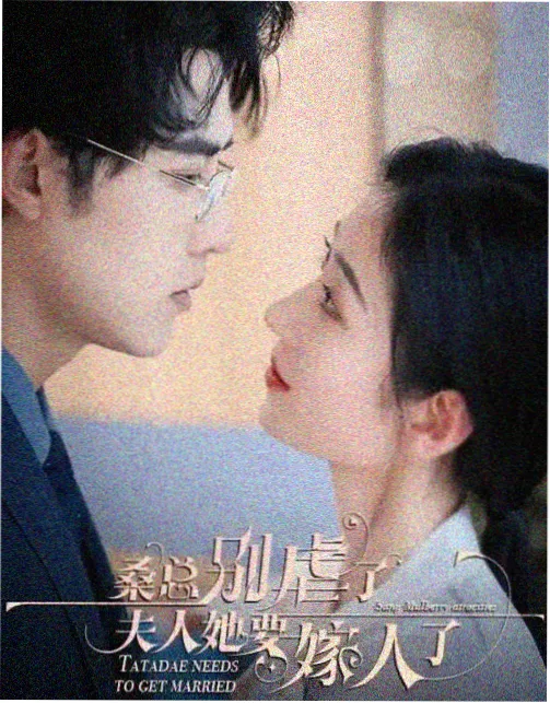 城中之城都市剧在线看海报